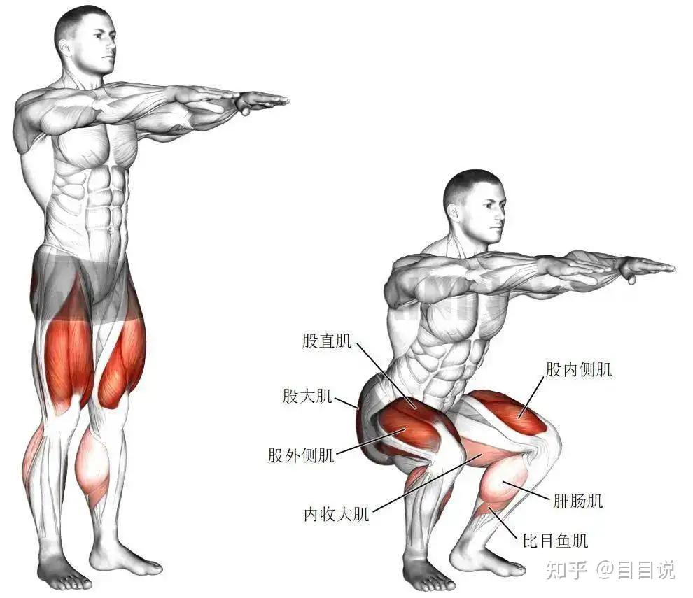 健身只做力量训练能减肥吗