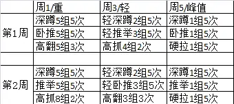 健身新手可以走力量举德州计划框架吗